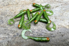 Guma Great Fish GF1 Twister 4,9cm | Glitter Green | bezzapachowy | 10 szt.