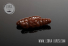 Przynęta Libra Lures Largo 3.5cm | 038 - Brown | kryl | 10 szt.