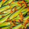 Guma Angry Lures Bleak F-Tail 15cm | GYO