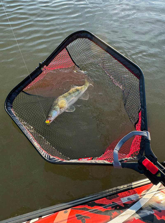 Podbierak Fox Rage Speed Flow Folding Net
