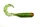 Glitter Green \ Rybny