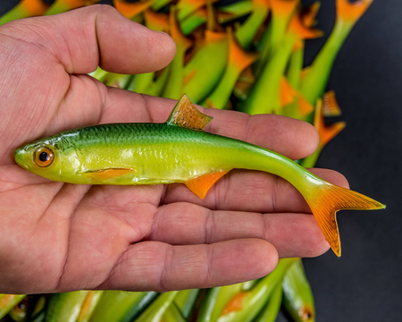 Guma Angry Lures Bleak F-Tail 15cm | GYO