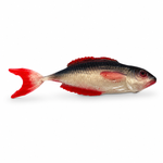 Przynęta FishB Vertigo - 22cm - kolor 2