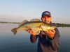 ..Wędka Westin W3 Vertical Jigging 2nd 185cm M 14-28g