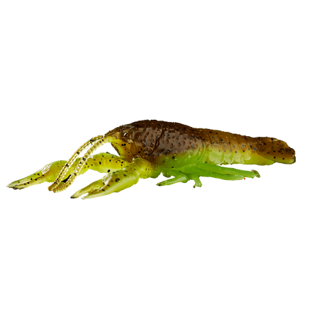 Guma Savage Gear Ned Craw 6,5cm | Green Pumpkin