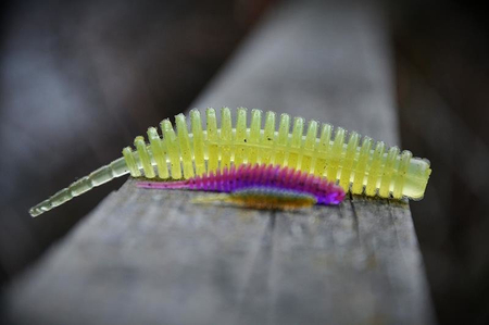Gumy FishUp Tanta 2,2cm | 1" | #081 Pearl | 12szt.