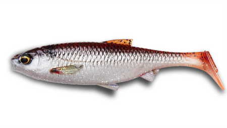 Guma Savage Gear 3D River Roach 14cm | Smelt