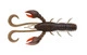 Signal Cray UV Claw