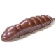 #106 Earthworm