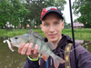 Guma Mikado Real Fish 9.5cm / Natural Perch