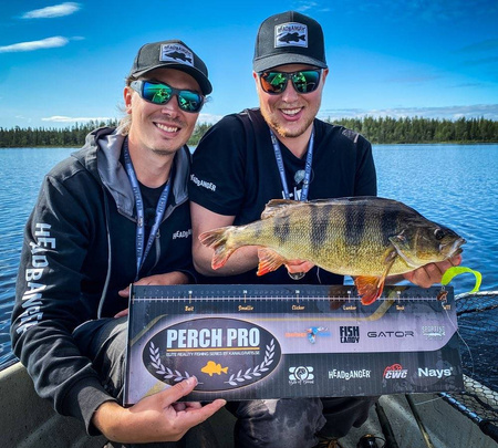 Przynęta Headbanger BangerRibs 8,6cm - Electric Shad - 5 szt.