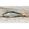Guma SEWRO CUSTOM BAIT Płoć 14cm