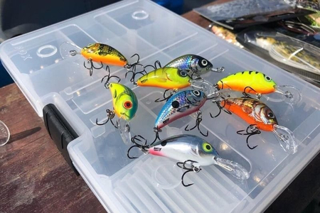 Wobler Salmo Hornet 4cm | Real Dace | tonący