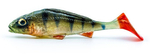 Guma Angry Lures Ruffe 10cm | PCH