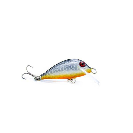 Wobler Engima Baits Brisk 4cm | Agresorek| pływający