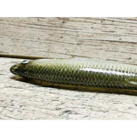 Guma SEWRO CUSTOM BAIT Ukleja 16cm- Zielony Naturalny Ogon