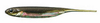 Fish Arrow Flash-J 3" - Kosan Ayu/Aurora #26 - 1 szt.