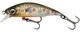 Brown Trout Smolt