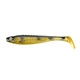 Perch Shiner