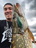 Headbanger Shad 16cm - Spotted Bullhead - Pływający