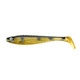 Perch Shiner