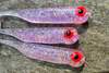 Guma Great Fish GF1 4,9cm | Glitter Pink | krewetkowy | 10 szt.