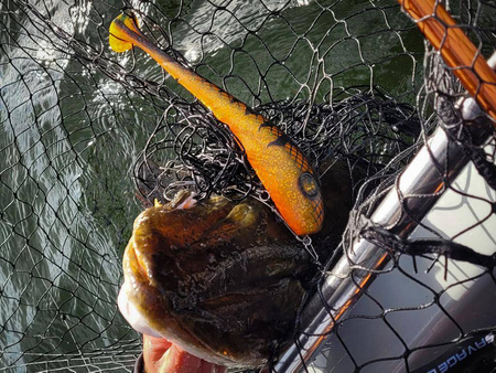 Przynęta Angry Pikes - Pike Tyson 21 cm, 90 g - FS Navy Carrot