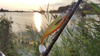 Guma Westin ShadTeez High 19cm | Motoroil Burbot