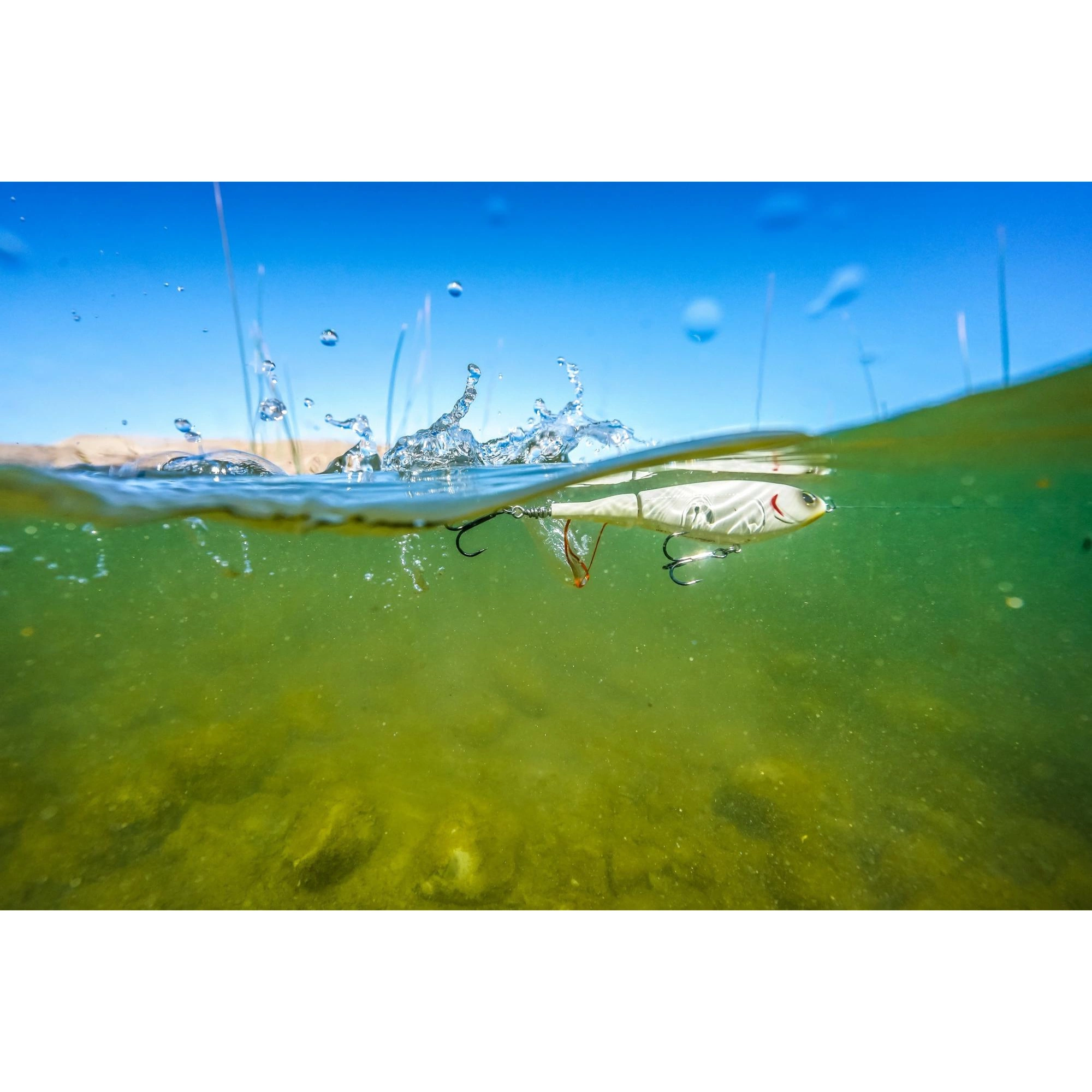 Przynęta Berkley Choppo 120 / 12 cm / 28 g / Floating / HD Golden Shiner