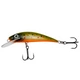 Orange Trout