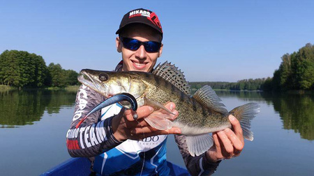 Guma jaskółka Mikado Saira 14cm, kolor 3D Limited Roach ,