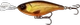 Dirty Roach