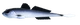 003 - BLUE WHITEFISH