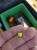 Feeder Bait Mikron Wafters 4/6mm | Natural