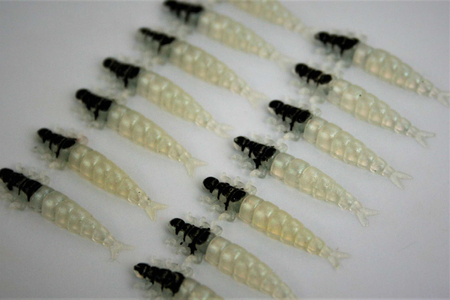 Przynęta FISHCHASER Chruścik / 2.4cm / 5szt. / Pearl