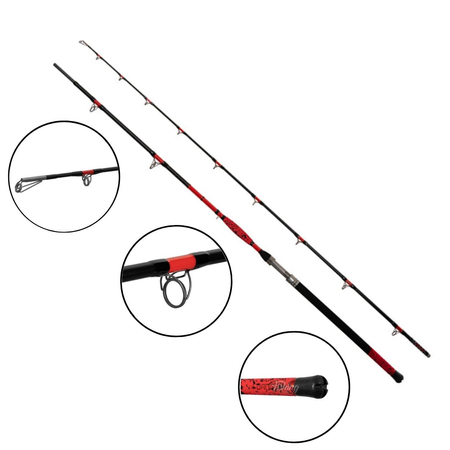 Wędka sumowa Delphin DANGER CatFISH / 310cm / 350g / 2sec