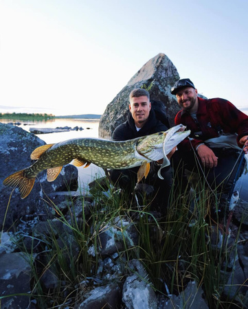 Guma Nays GHST 80 | P-04 | 20,32cm | 46g