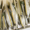 Guma Angry Lures Bleak V-Tail 20cm | WGY