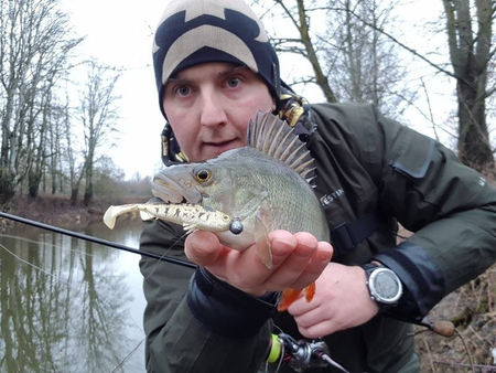 .Guma Westin Stanley The Stickleback 5,5cm - Fireflake