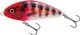 Holo Red Head Striper