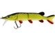 Baltic Pike