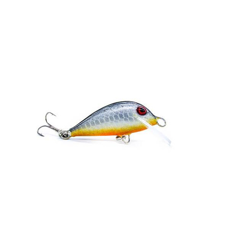 Wobler Engima Baits Brisk 4cm | Agresorek| pływający