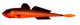 011 - HOT ORANGE