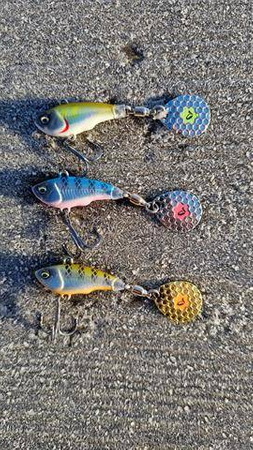 Wirujący ogonek Savage Gear Fat Tail Spin 24g | Blue Silver