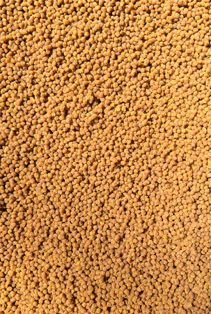 Gotowy Pellet Feeder Bait | Sweet Corn