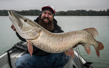 Przynęta Westin Ricky the Roach Inline 35cm | Firetiger Rudd | tonący