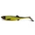 Tench \ 14