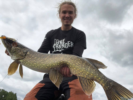 Headbanger Tail 23cm - Goldhead - Neutralny