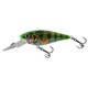 CLEAR HOT PERCH