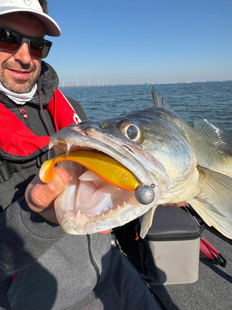 Guma Fox Rage Zander Pro Shad 12cm | Natural Roach